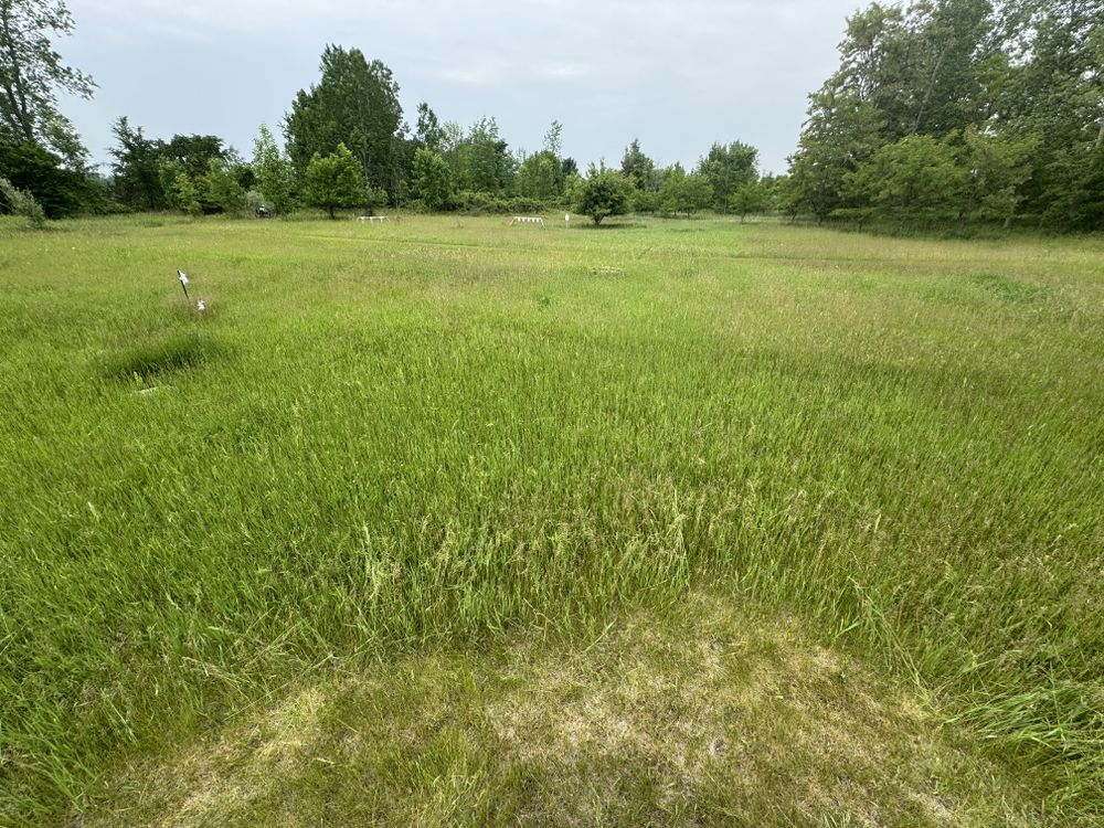 Landscaping Lawn Care for Daugherty's Tough Lawn Care in Essexville, MI