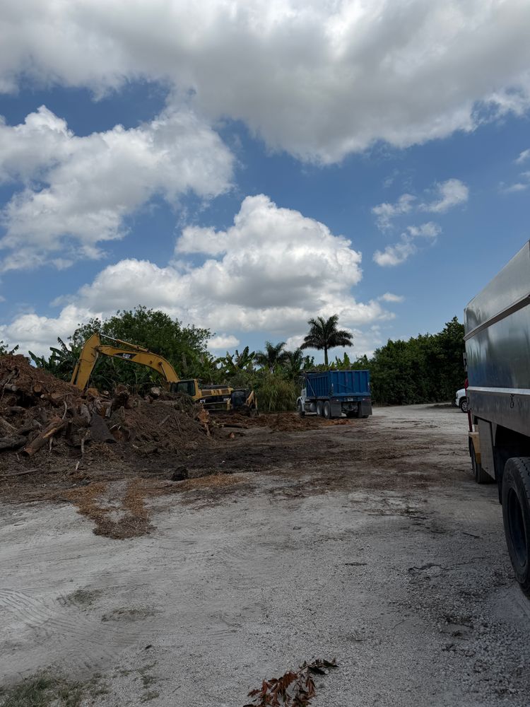 All Photos for Nurry Tree Services in Miami, FL