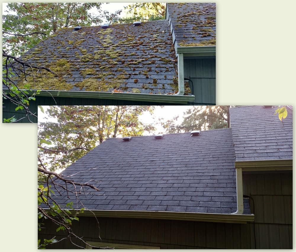 All Photos for Unlimited Softwash in Bellingham, MA