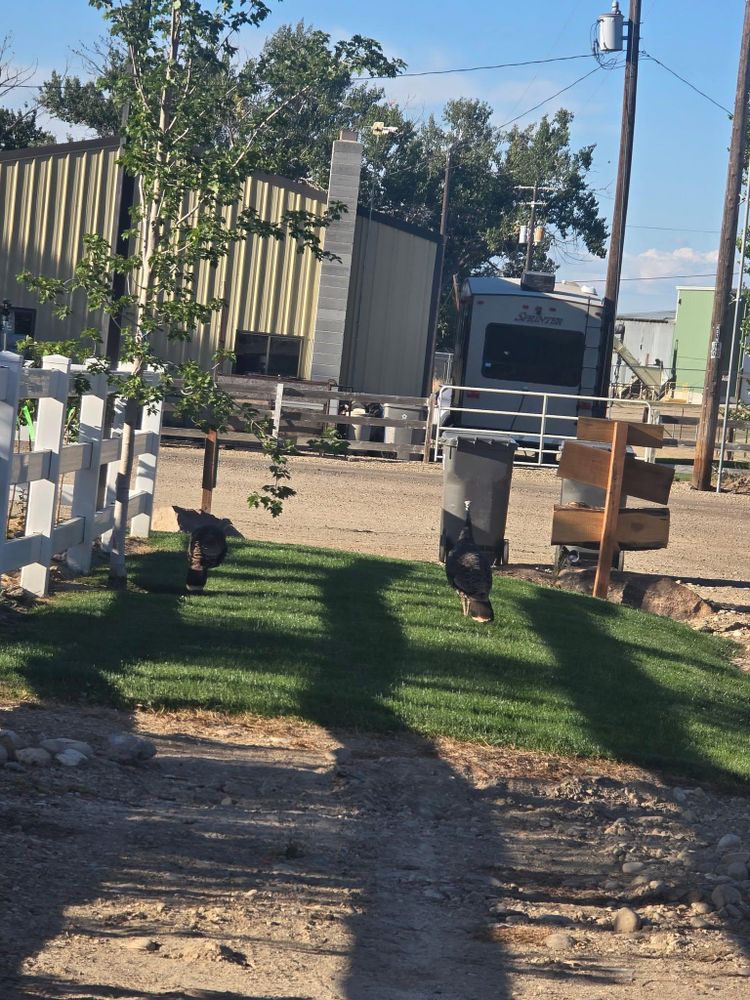 All Photos for Mike's Grading Plus in Caldwell, ID