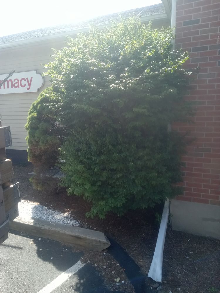 All Photos for K Brown's Property Maintenance in Pittsfield, MA