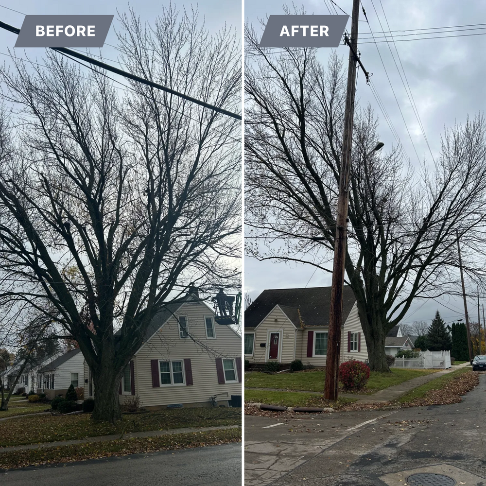 All Photos for Fransen's Tree Service  in Freeport, IL