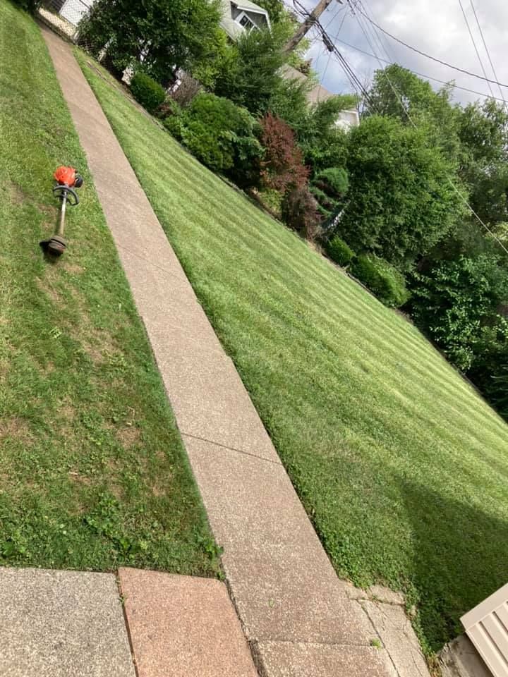 Lawn Care for Superior Lawn Care & Snow Removal LLC  in Chicago, IL