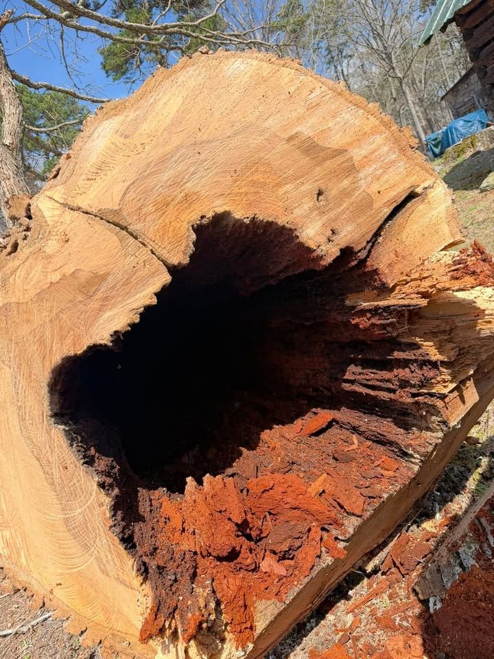 All Photos for Hunt’s Hauling & Landworks LLC in Danville, VA