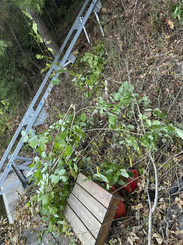 All Photos for Daugherty's Tough Lawn Care in Essexville, MI