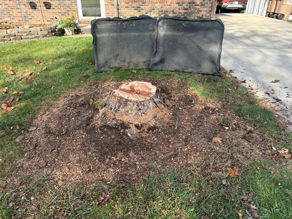 All Photos for Conrad's Stump Removal in Columbus, IN