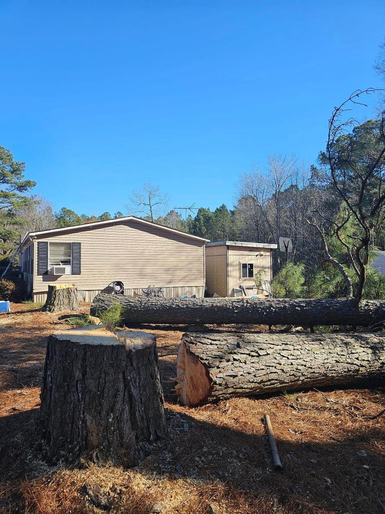 All Photos for Millers Tree Service in Saline County, AR