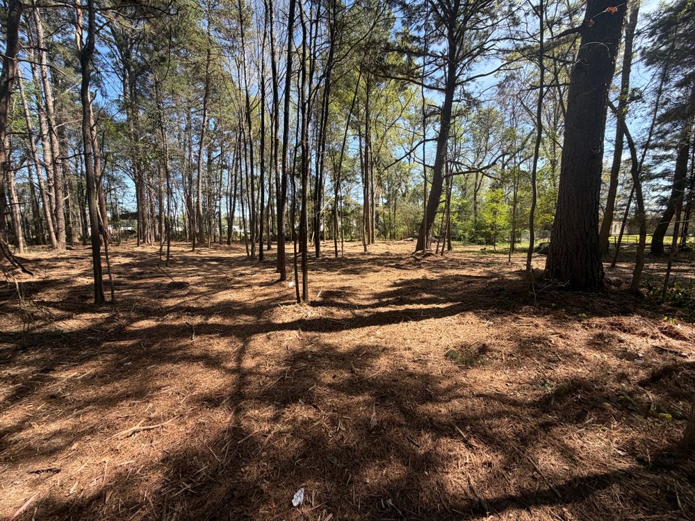 All Photos for 903 Mulching in East Mountain, TX