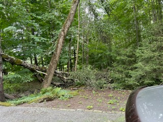 All Photos for Andy Naylor Excavation in Stowe, VT