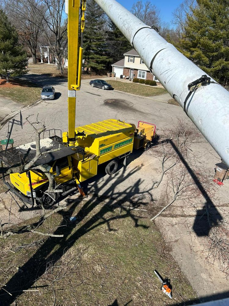 All Photos for SMITHs Tree Service in Columbus, IN