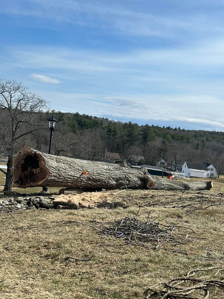 All Photos for Leaf and Limb in Townsend, MA