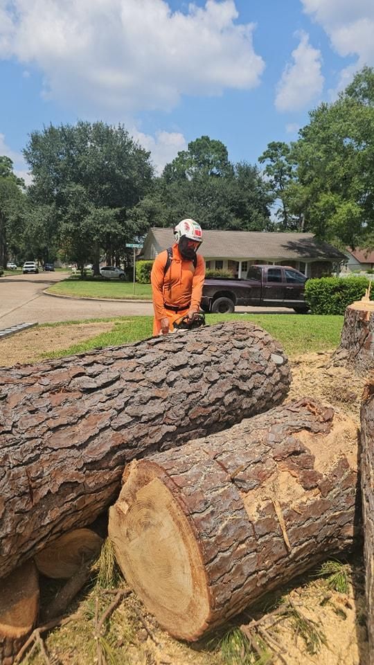 All Photos for Servin's Tree Care  in Houston, TX