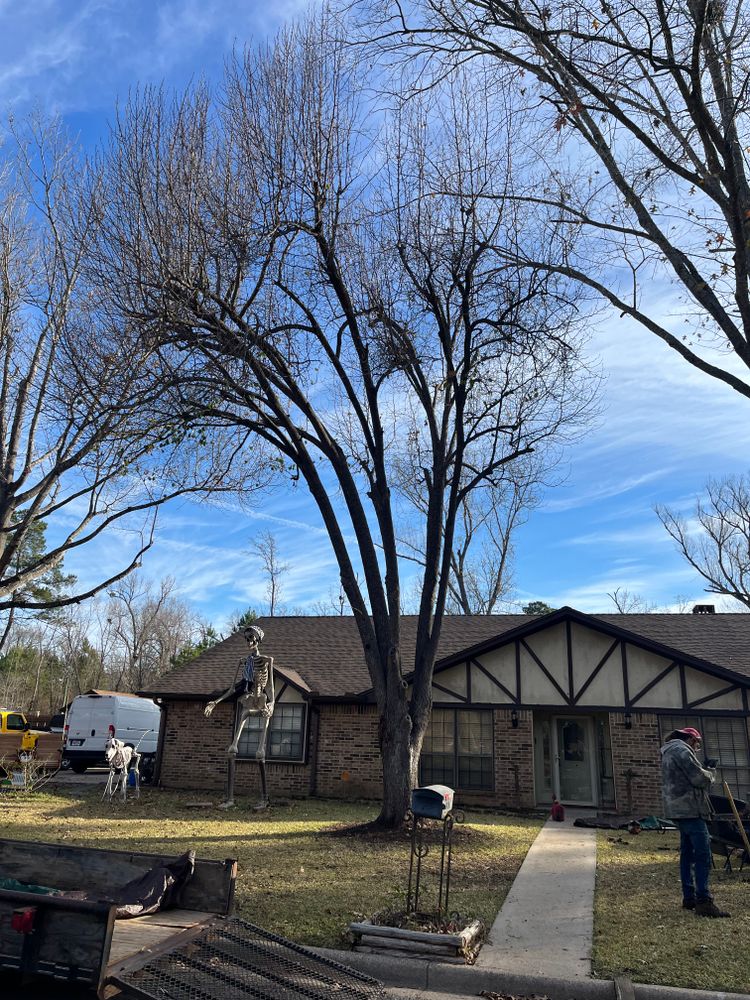 All Photos for JC Land and Tree Service in Kilgore, TX