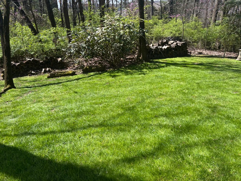 All Photos for ValleyScapes Landscaping in Walden, TN