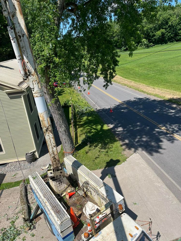 All Photos for Helfert Tree Service in Boonville, NY