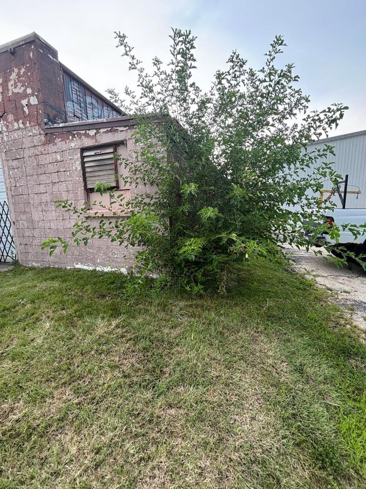 All Photos for Cena Landscaping in Rockford, IL