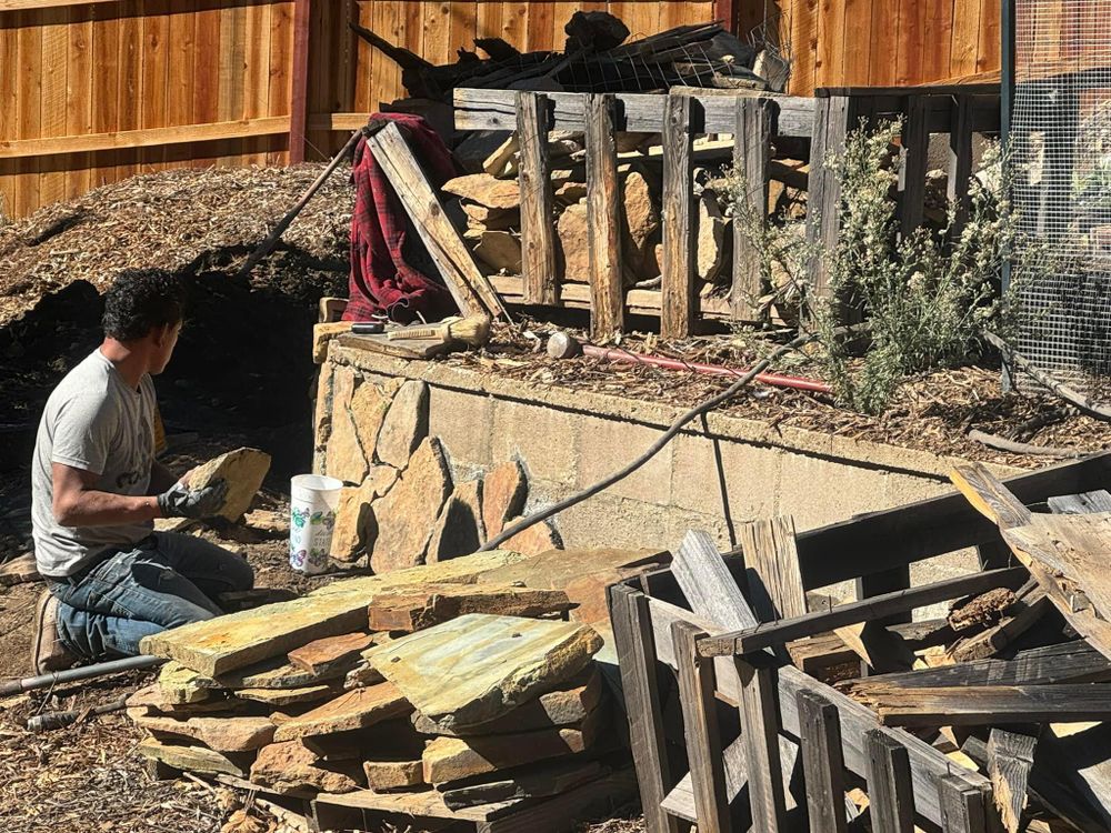 Property Clean Up for The Tree Fairy in Temecula, CA