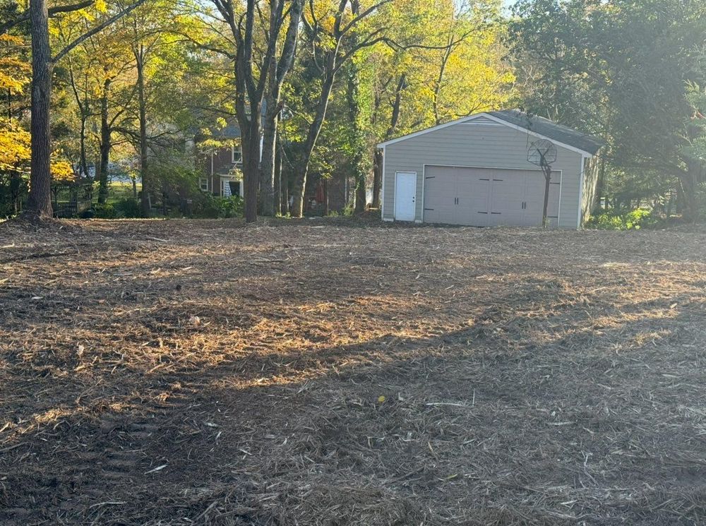All Photos for TriStar Land Clearing & Mulching in Franklin, TN