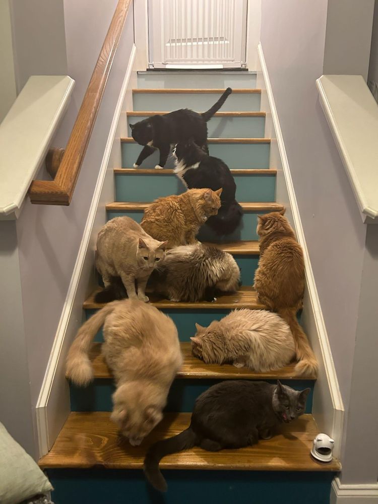 All Photos for GVL Renovations in Greenville, SC