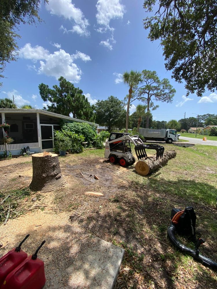 Tree Removal for MX Trees LLC in Englewood, FL