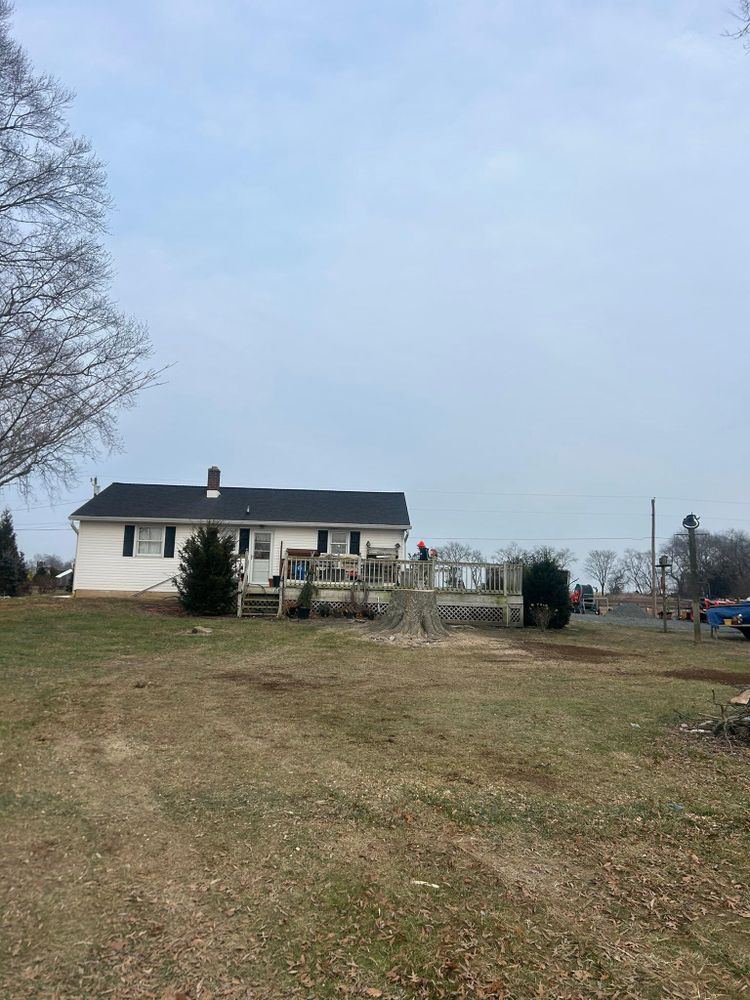 All Photos for Hingewood Tree Service in Salem, NJ