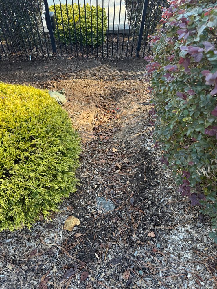 All Photos for Chavez Landscaping in Pittsboro, NC