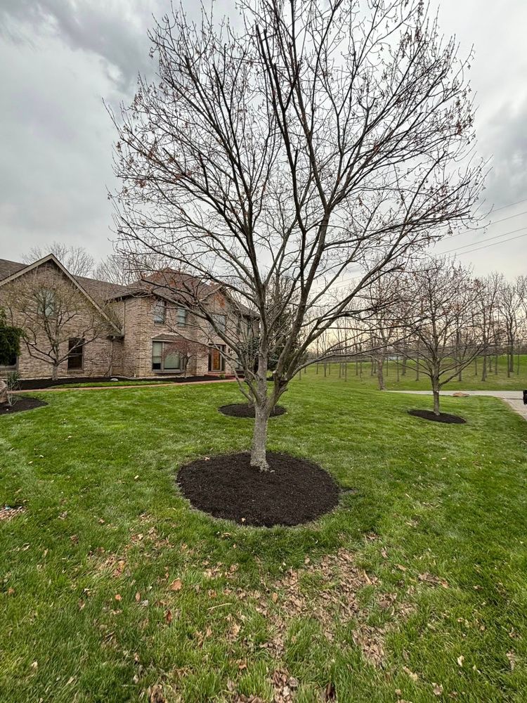 Transform your backyard into a vibrant communal space with our Outdoor Living Spaces service, designed to enhance relaxation and entertainment while seamlessly integrating with your landscape for year-round enjoyment. for Chapmans Lawncare and Landscaping in Connersville, IN
