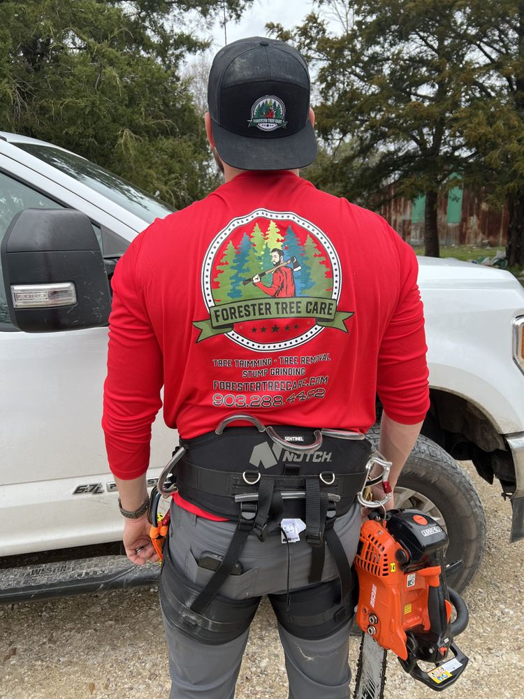 Tree Removal for Forester Tree Care in Tool,  TX