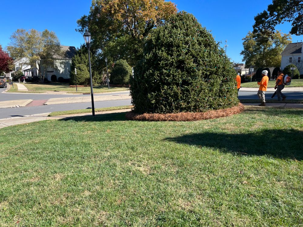 Pine Needle Installation for Dream Cuts Landscaping and Lawn Care LLC in Gastonia, NC