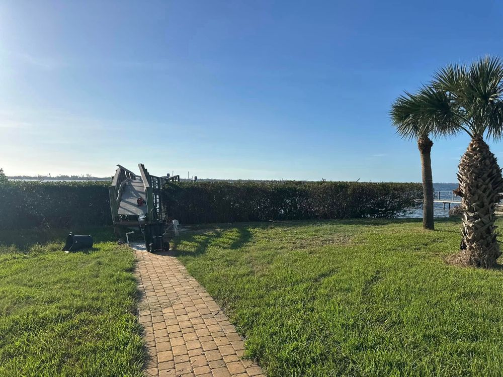 Tree Removal for MX Trees LLC in Englewood, FL