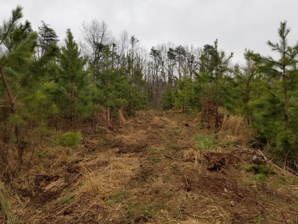 Landscaping for Douthat Solutions in Clearwater, FL