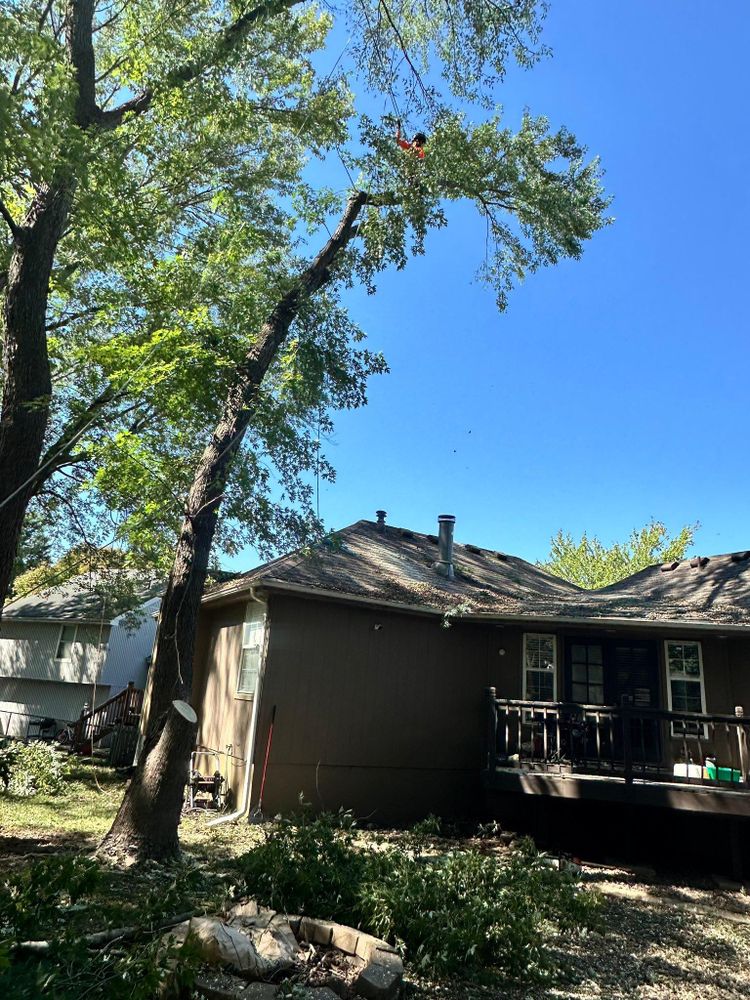 All Photos for Cross Family Tree Service in Kearney, MO