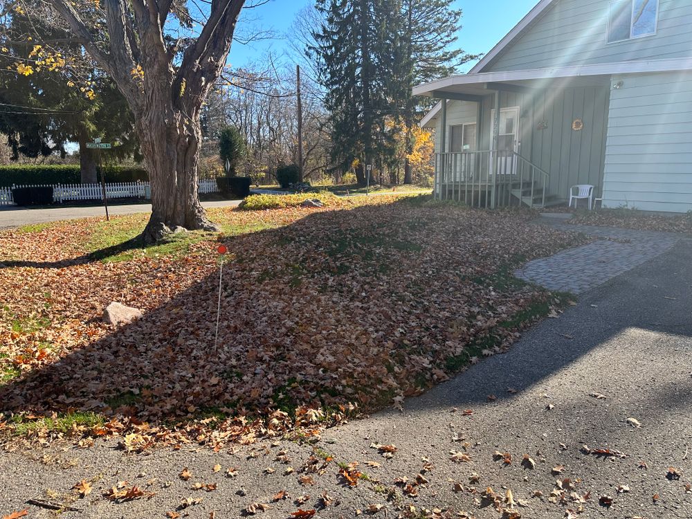 All Photos for Lighthouse Lawn Care and Irrigation in Marysville, MI