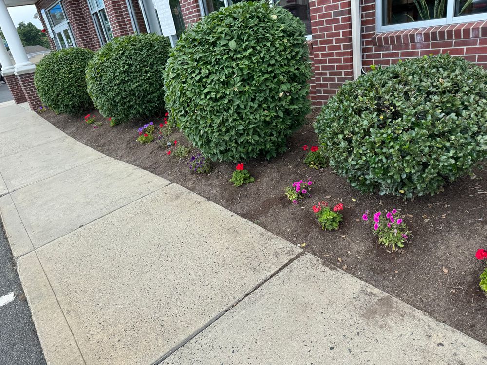 All Photos for Adams Landscaping in Springfield, MA