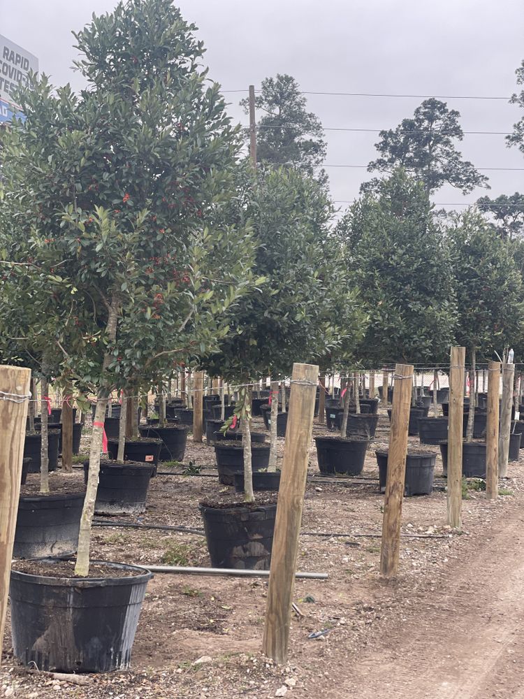 All Photos for Atlas Land Design in Creekside Park, TX