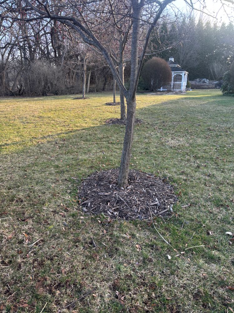 All Photos for Backyard Acres Lawncare LLC in Chambersburg, PA