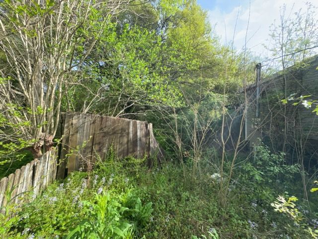 Tree Cleanup  for D&D Services of Pensacola in Pensacola, FL