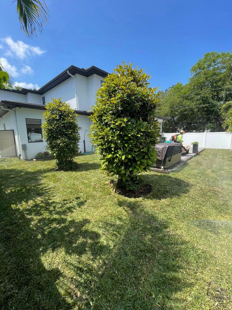 Our Resod Specialist service offers expert lawn revitalization, replacing damaged grass with lush, fresh sod for a vibrant and healthy yard that enhances your home's curb appeal effortlessly. for Gulf Bay Sod in Clearwater, FL