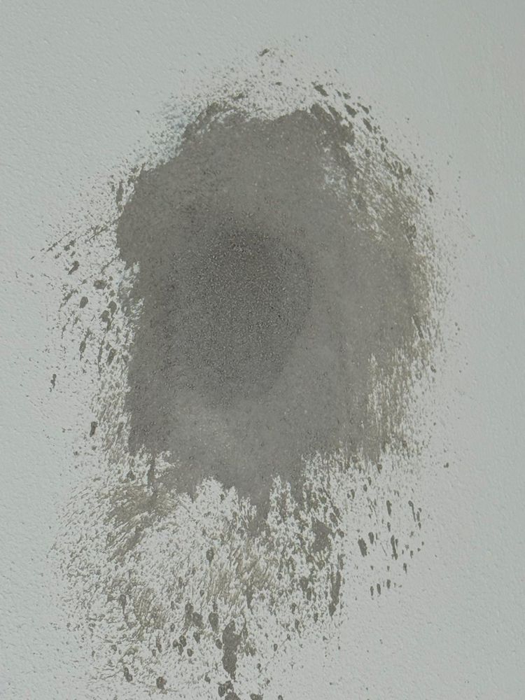 All Photos for Escorpio Painting in Tampa, FL