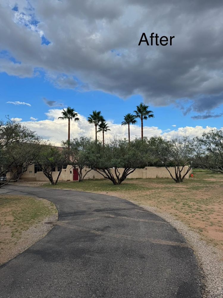 All Photos for By Faith Landscaping in Sierra Vista, AZ