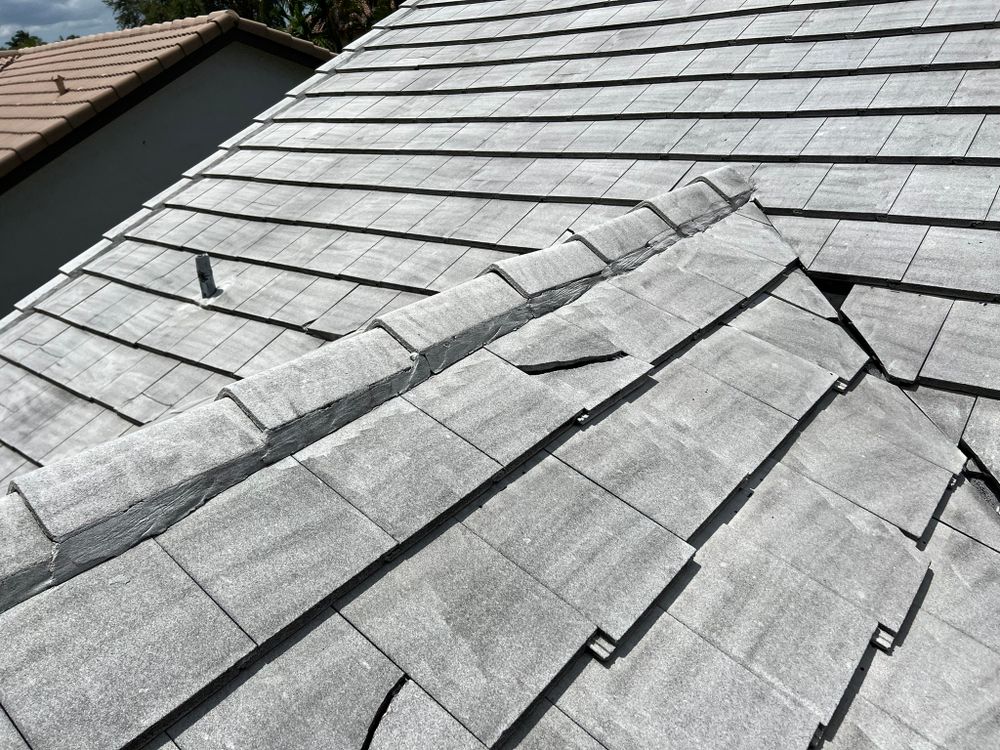 All Photos for Surplus Public Adjusters in Miami-Dade County, FL