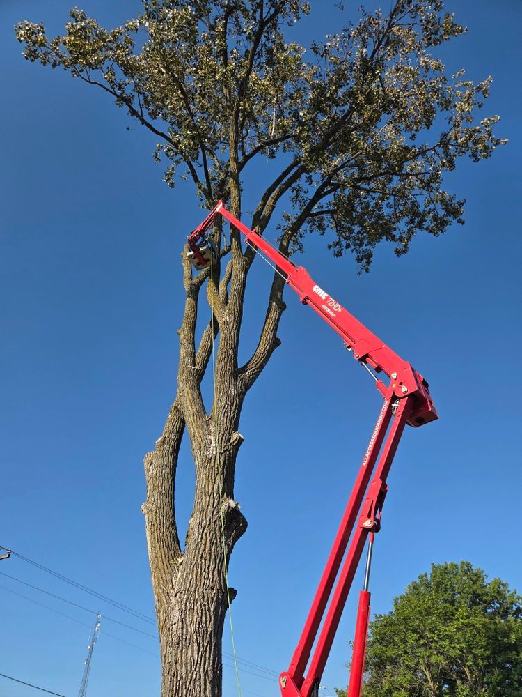 All Photos for Lawn Ranger Yard And Tree Service LLC in Ottumwa, IA