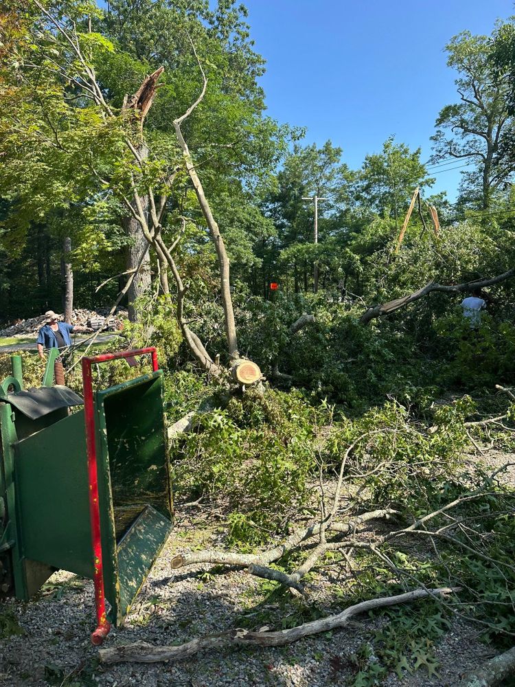 All Photos for Silver City Tree and Landscape in Taunton, MA