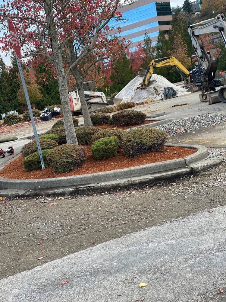 Landscaping for Family Landscaping & Irrigation in Auburn, WA