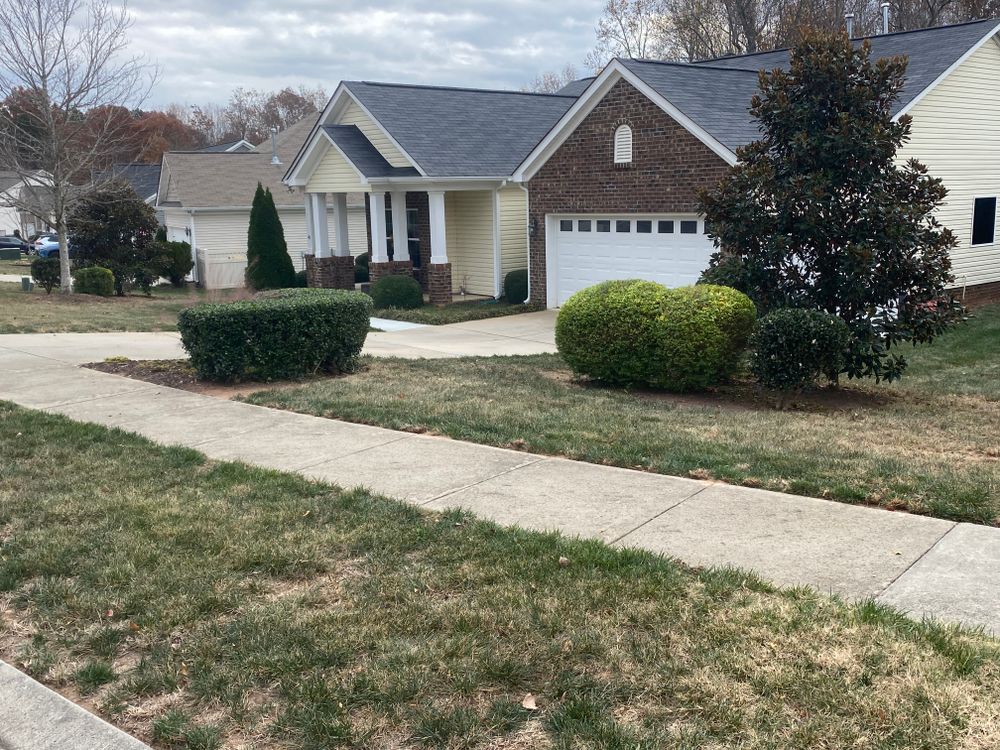 Mulching for America's Top Pick Lawn & Landscaping in Gastonia, NC