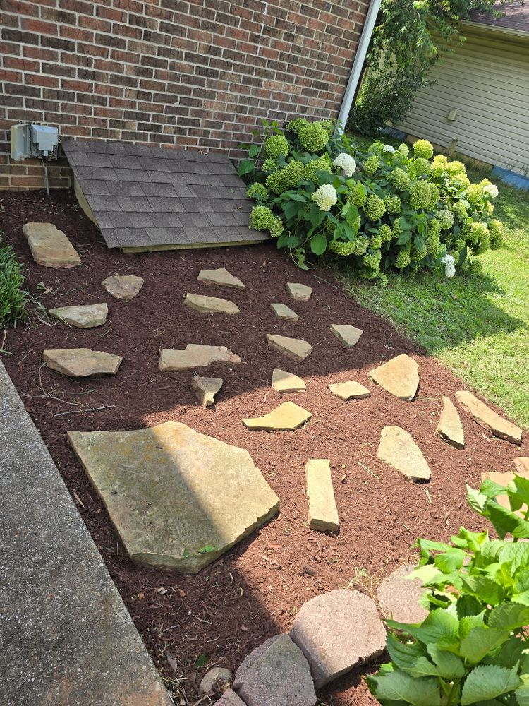 Before and after  for Optimum Tree Service And Landscaping in Bowling Green, KY