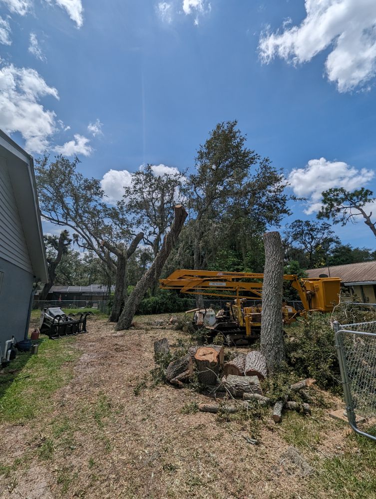All Photos for Regal Tree Service and Stump Grinding in Wauchula, FL