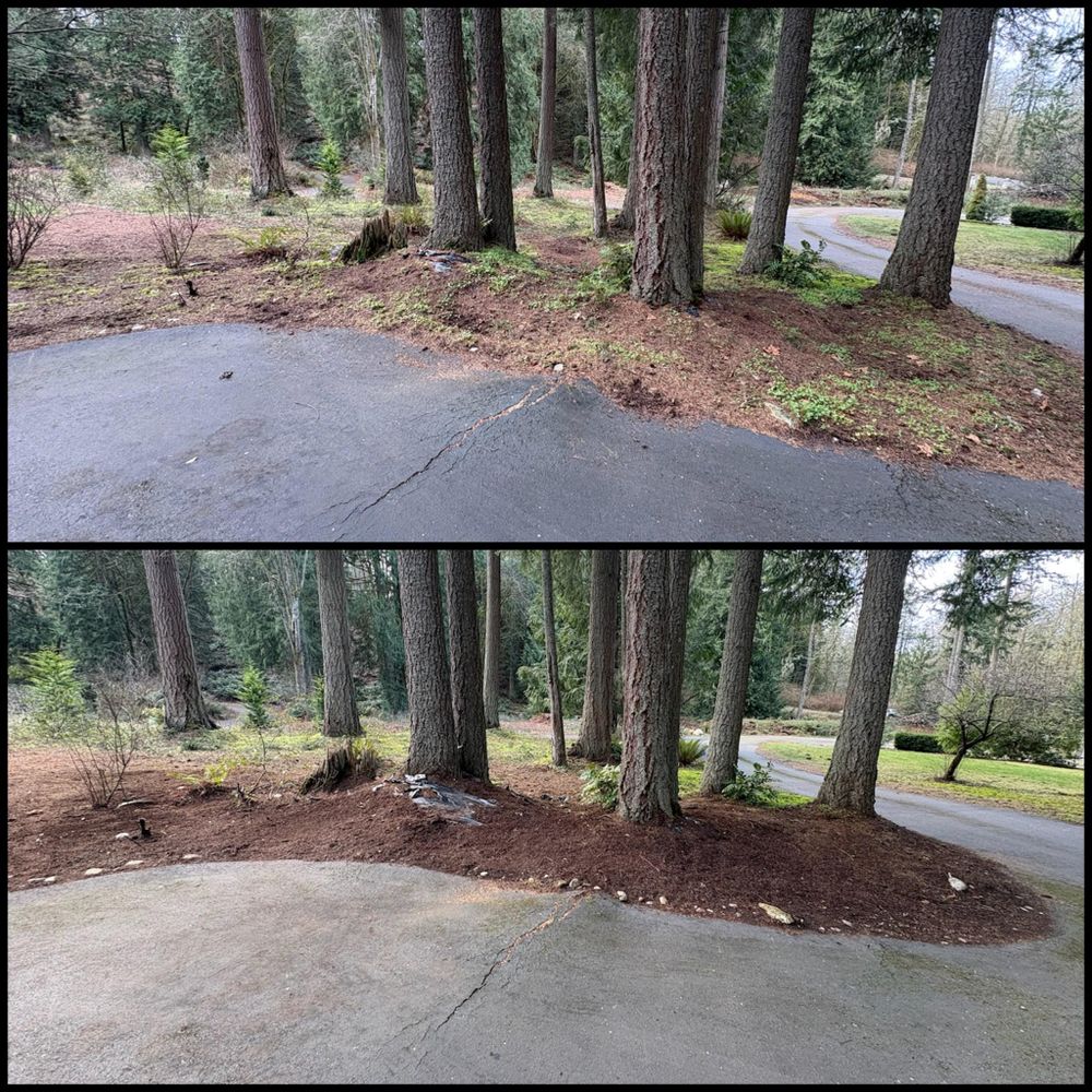 Fall Clean Up for Golovin Property Services LLC in Marysville, WA