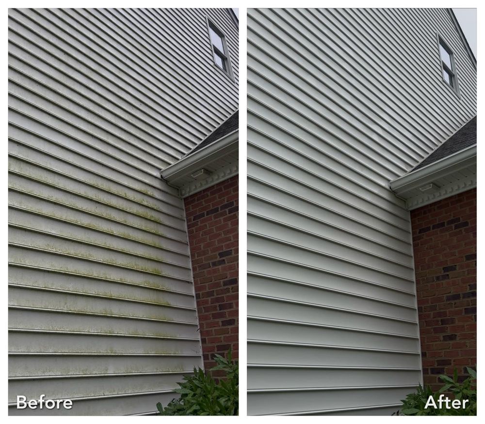All Photos for LeafTide Solutions in Richmond, VA
