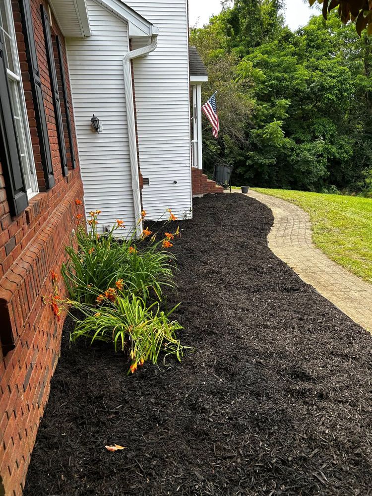 Our mulch installation and renovation service enhances your garden's beauty while promoting plant health, suppressing weeds, and conserving soil moisture, providing a vibrant and well-maintained landscape for your home. for Vaske Lawn Care in Burlington, KY